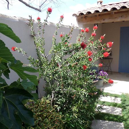 Le Clos Martin Apartment Eyragues Exterior photo