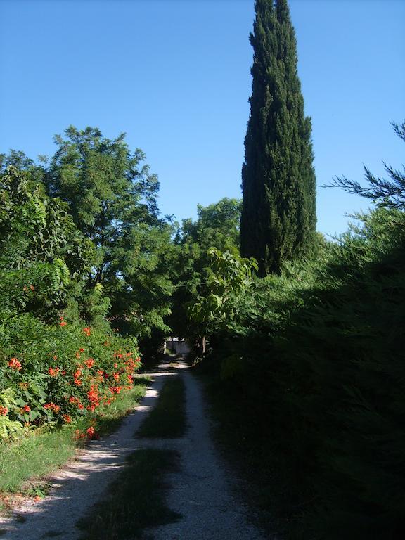 Le Clos Martin Eyragues Exterior photo